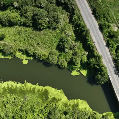 Imagem de um local vegetado com um rio abaixo
