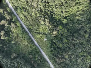 Imagem de drone de uma área vegetada